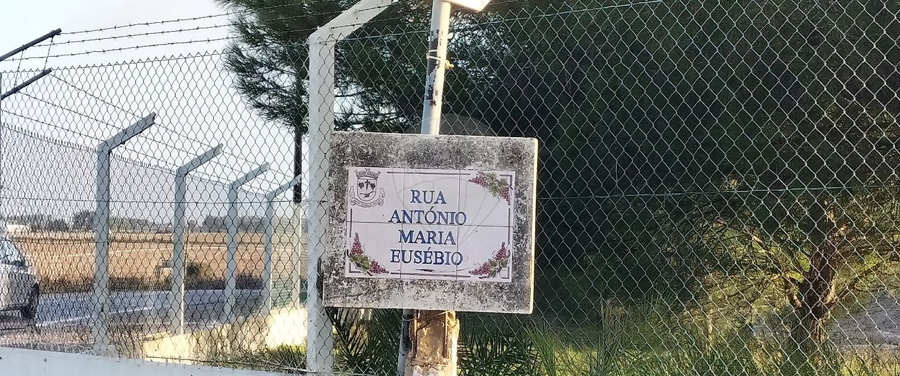 Quinta T3 para venda