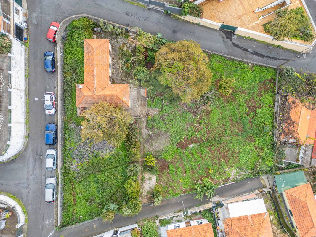 listing 123511061-204 picture-0