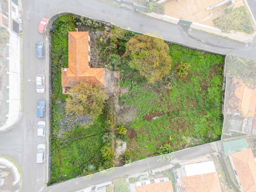 listing 123511061-204 picture-0