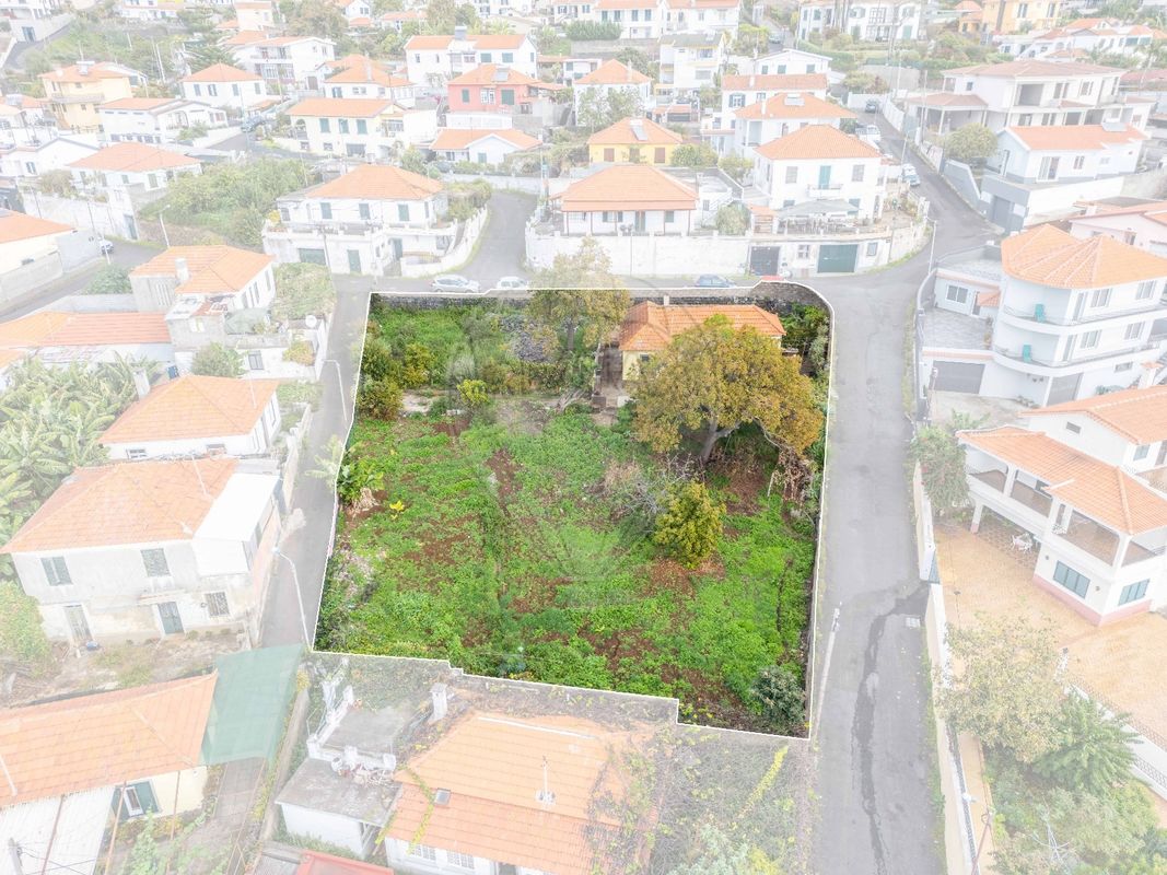 listing 123511061-204 picture-0