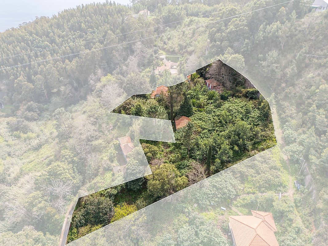 Moradia T6+ à venda em Camacha, Santa Cruz — foto 16