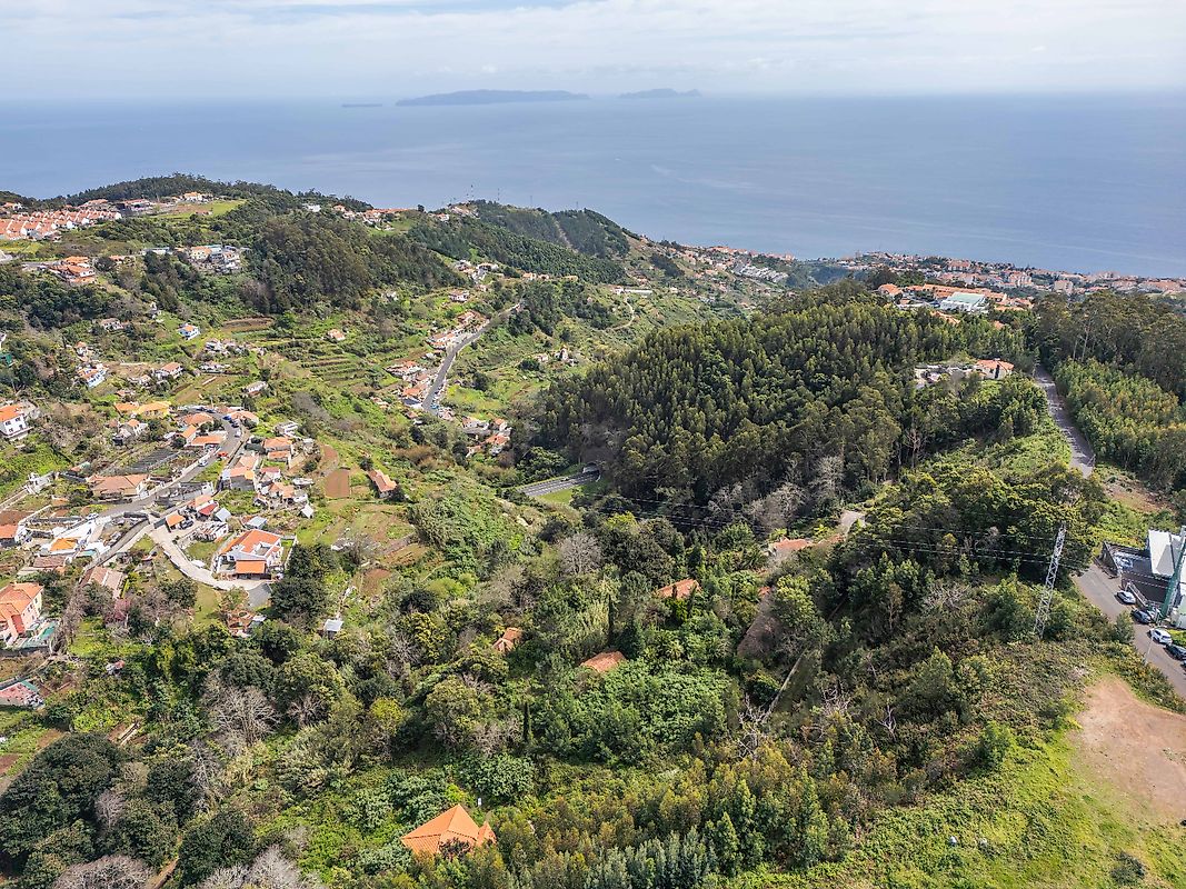 Moradia T6+ à venda em Camacha, Santa Cruz — foto 8