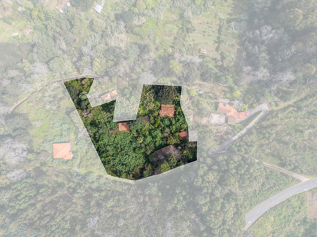 Moradia T6+ à venda em Camacha, Santa Cruz — foto 6