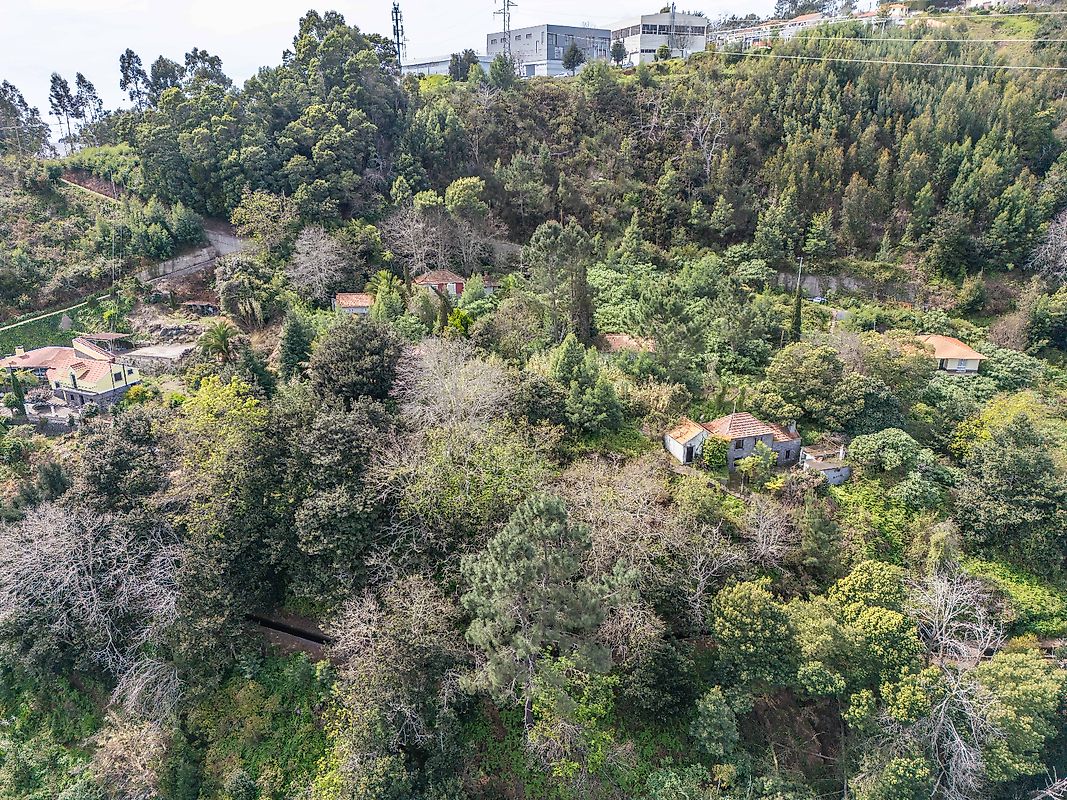 Moradia T6+ à venda em Camacha, Santa Cruz — foto 14