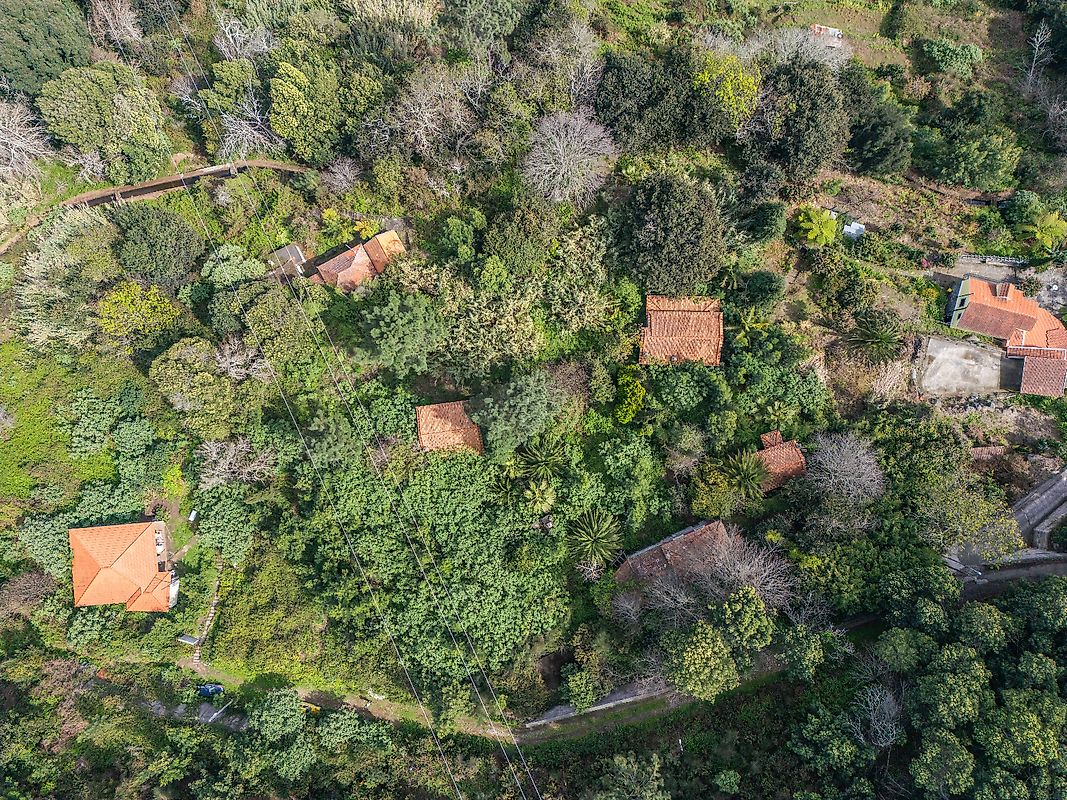 Moradia T6+ à venda em Camacha, Santa Cruz — foto 7