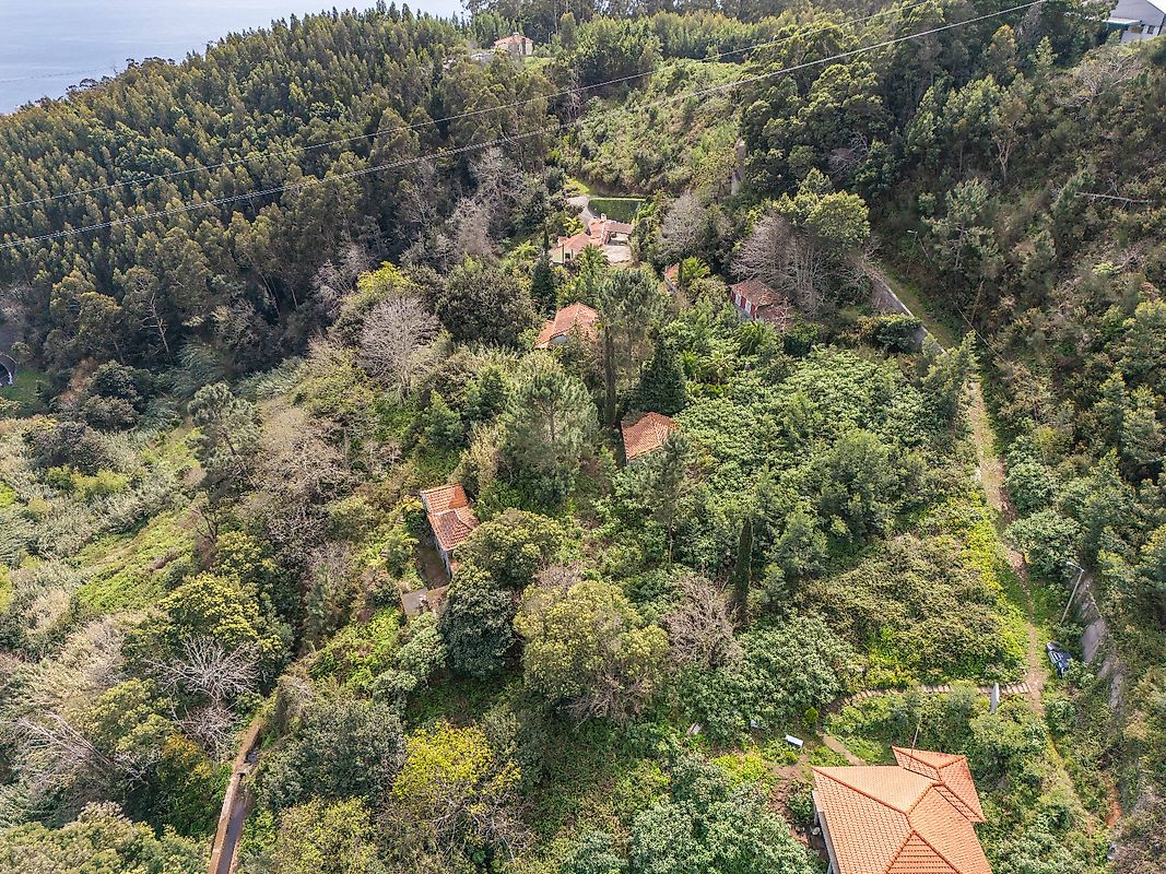 Moradia T6+ à venda em Camacha, Santa Cruz — foto 15