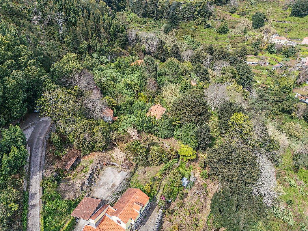 Moradia T6+ à venda em Camacha, Santa Cruz — foto 13