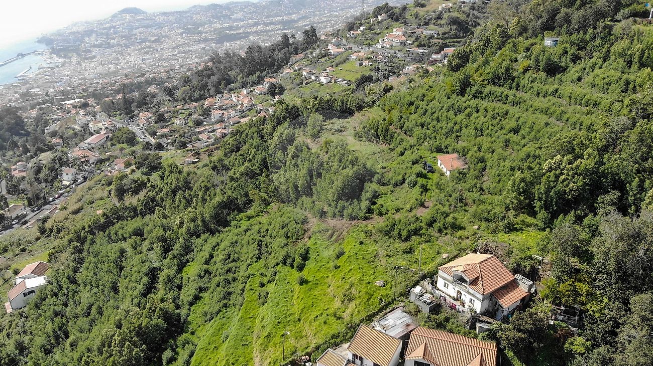 Terreno à venda em Funchal