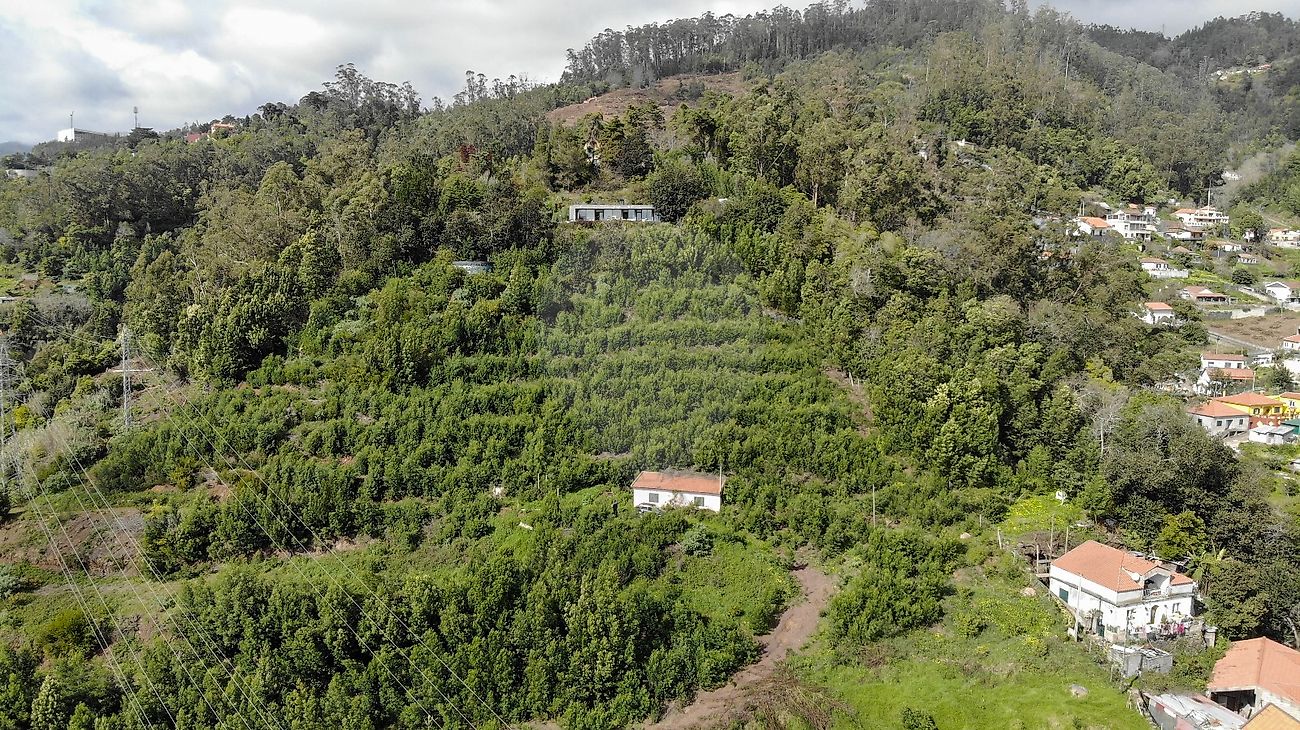 Land for sale in Funchal, Portugal — €1,500,000