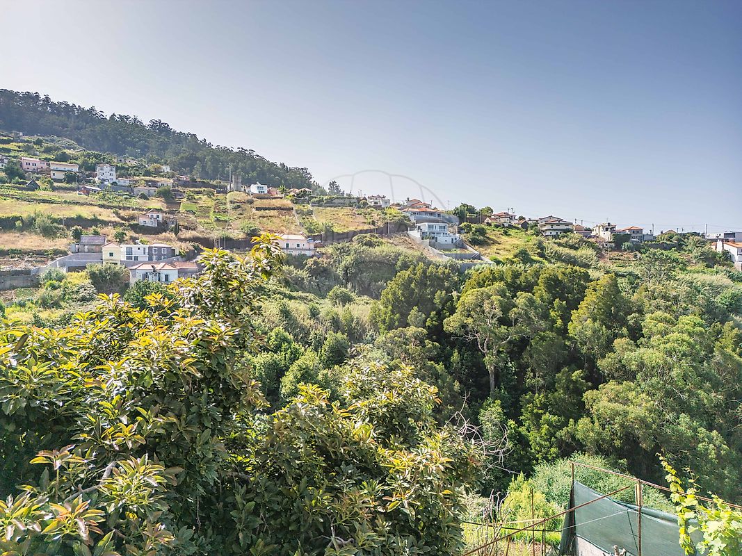 listing 123511098-132 picture-0