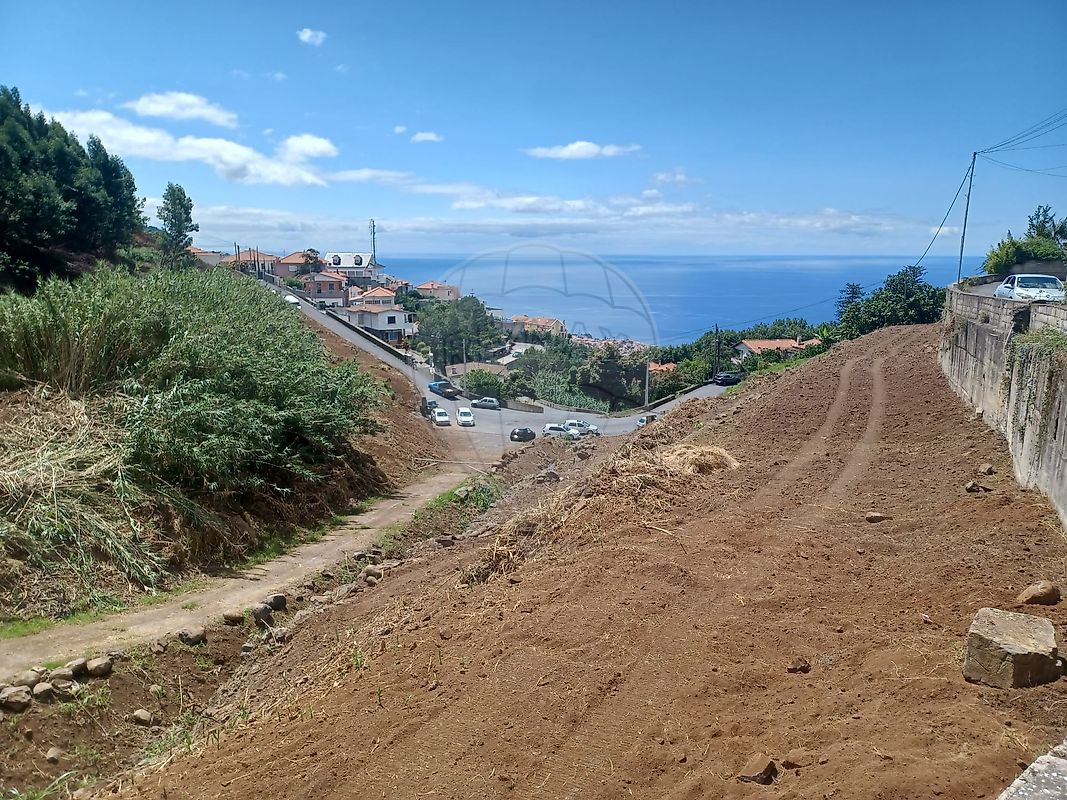 listing 123511194-2 picture-0