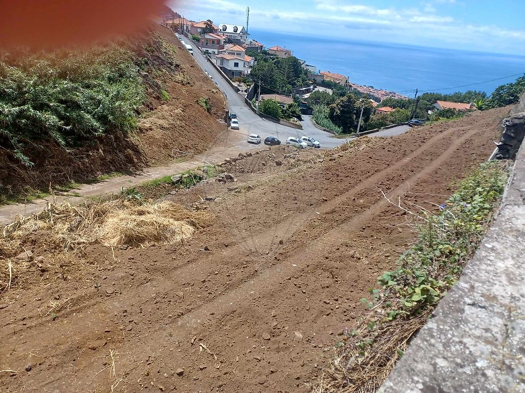 listing 123511194-2 picture-0