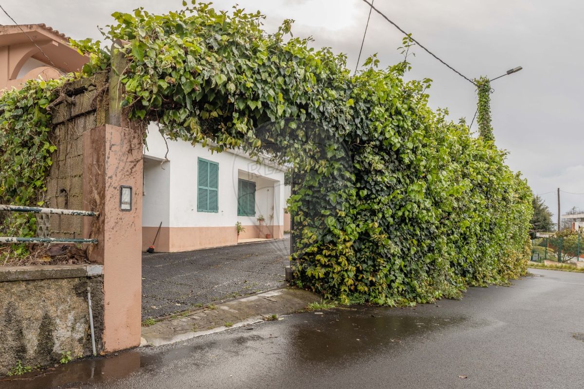 listing 123511196-39 picture-0