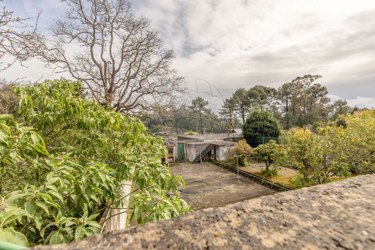 listing 123511196-39 picture-0