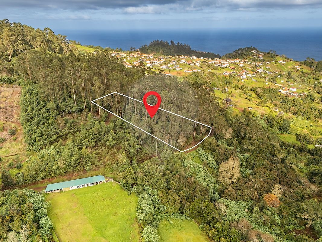 Terreno - São Jorge, Santana, Ilha da Madeira