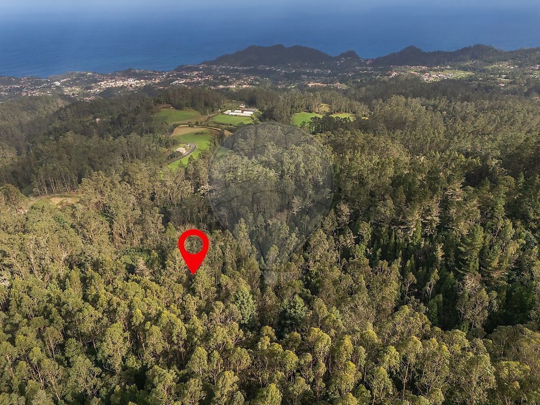 Terreno - Santana, Santana, Ilha da Madeira