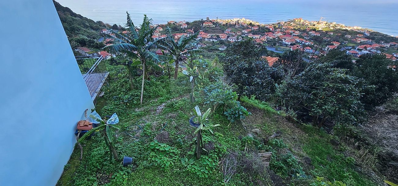 Moradia T3 à venda em Ponta delgada, São Vicente — foto 8