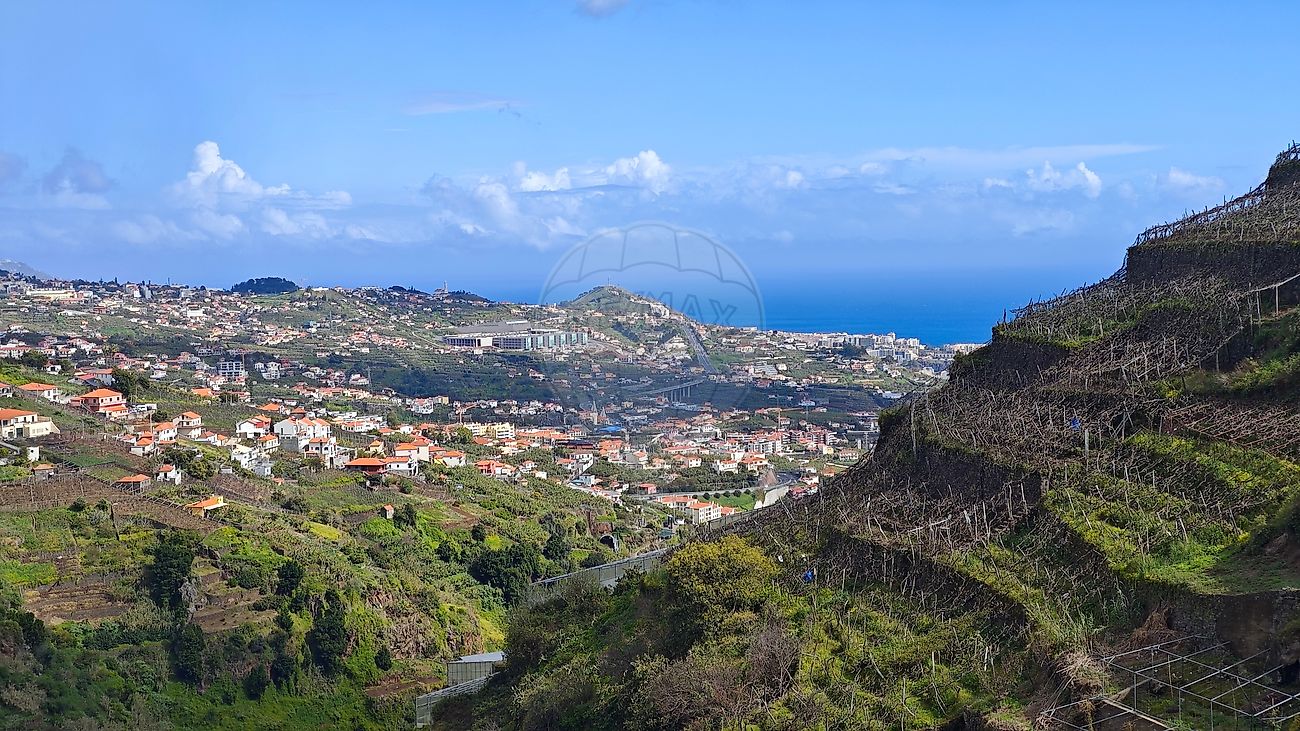 Terreno à venda em Câmara de Lobos