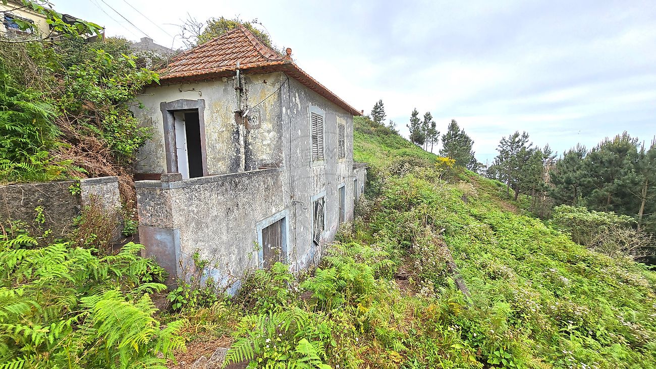 Prédio - Caniço, Santa Cruz, Ilha da Madeira