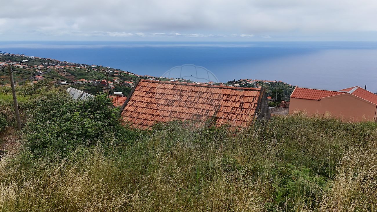 Terreno - Calheta, Calheta (Madeira), Ilha da Madeira