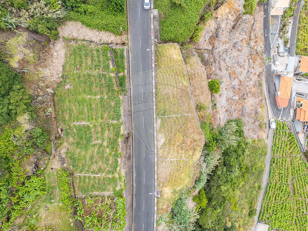 Terreno - Calheta, Calheta (Madeira), Ilha da Madeira