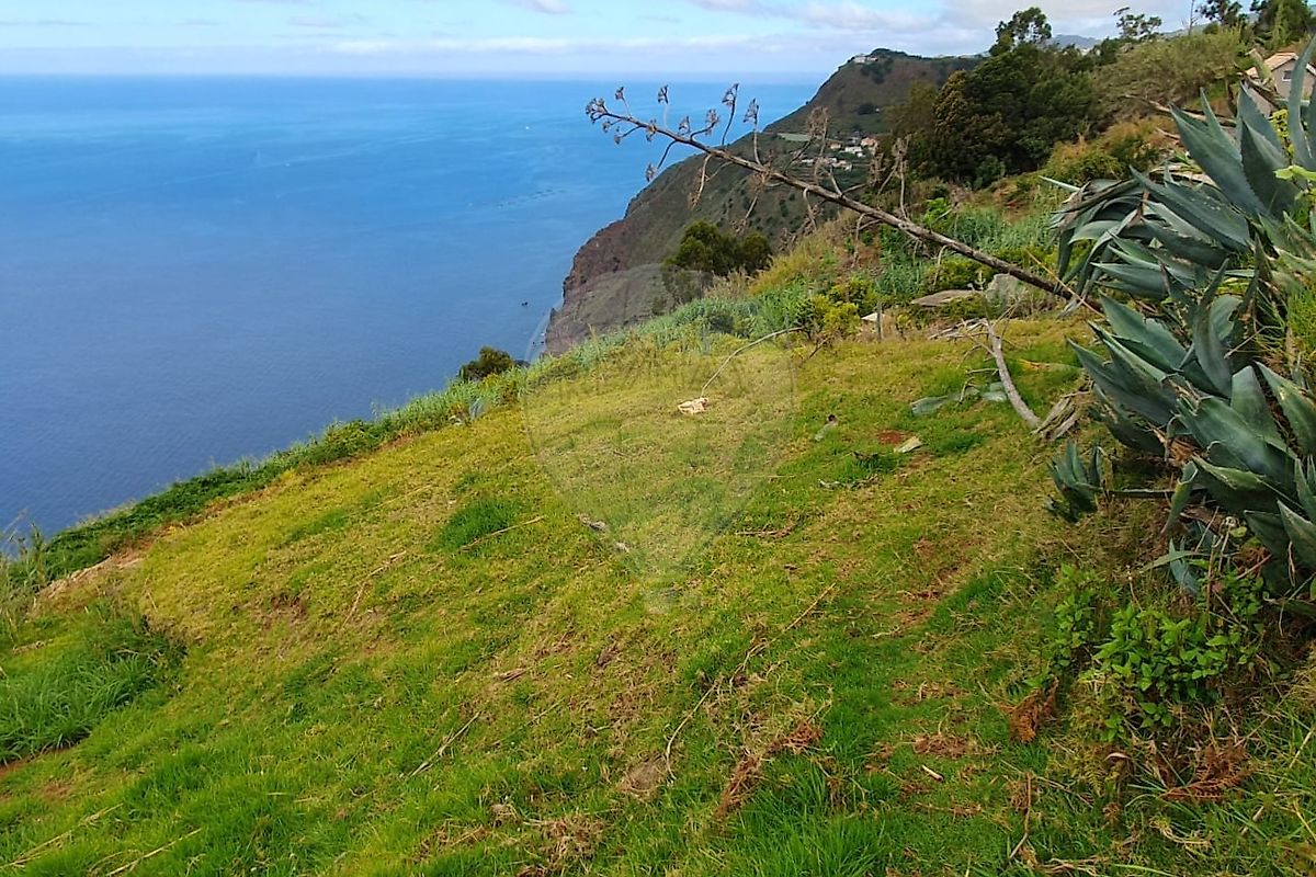 Terreno - Canhas, Ponta do Sol, Ilha da Madeira