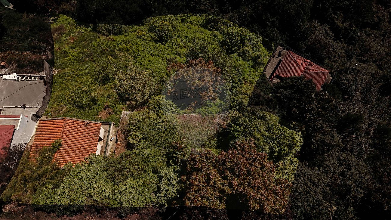 Moradia T4 à venda em Caniço, Santa Cruz — foto 8