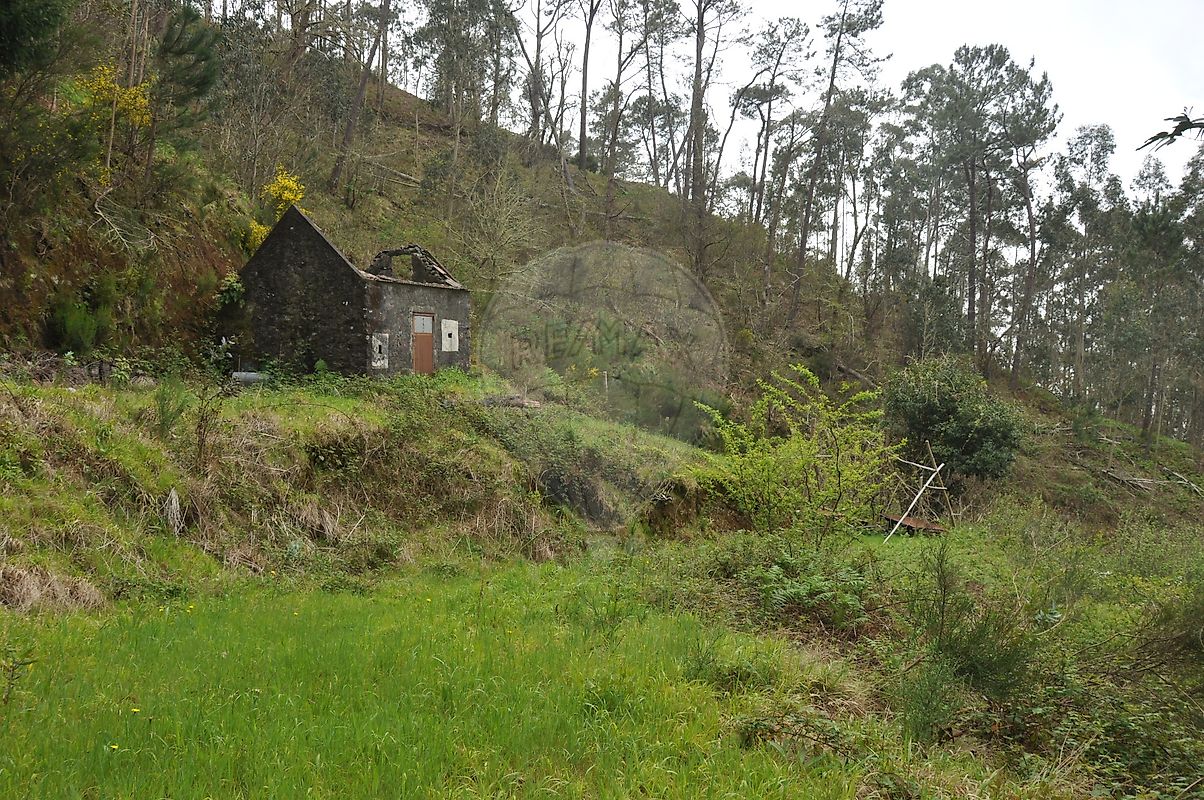 Terreno - Canhas, Ponta do Sol, Ilha da Madeira