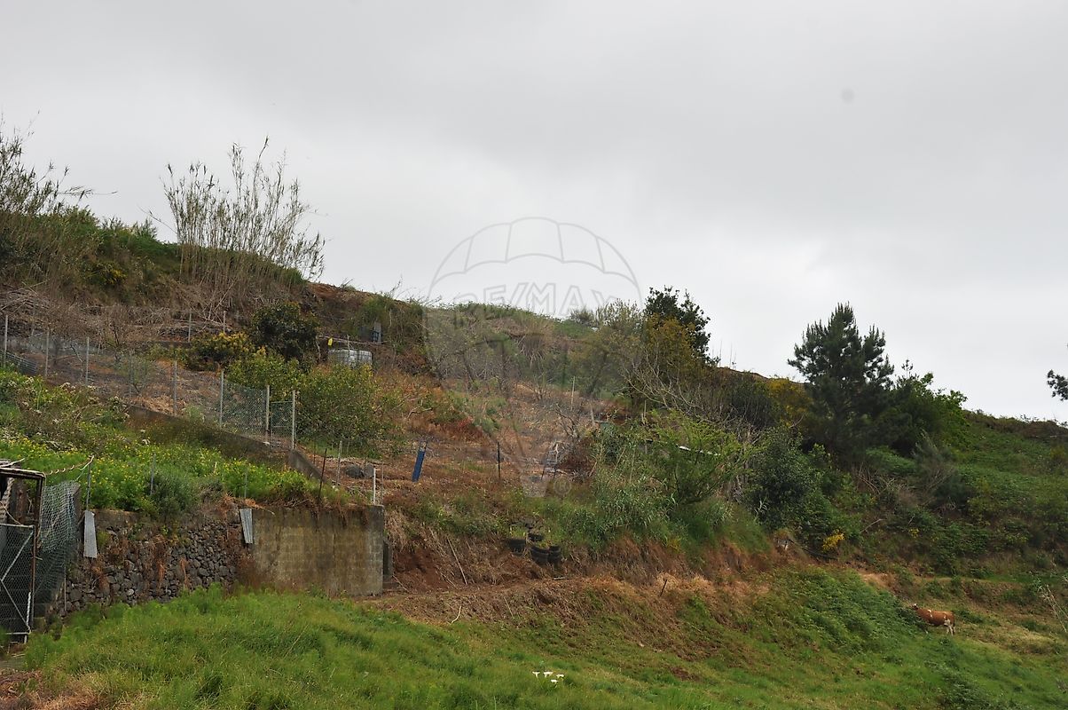 Terreno - Canhas, Ponta do Sol, Ilha da Madeira