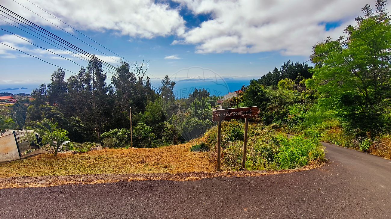 Terreno - Camacha, Santa Cruz, Ilha da Madeira