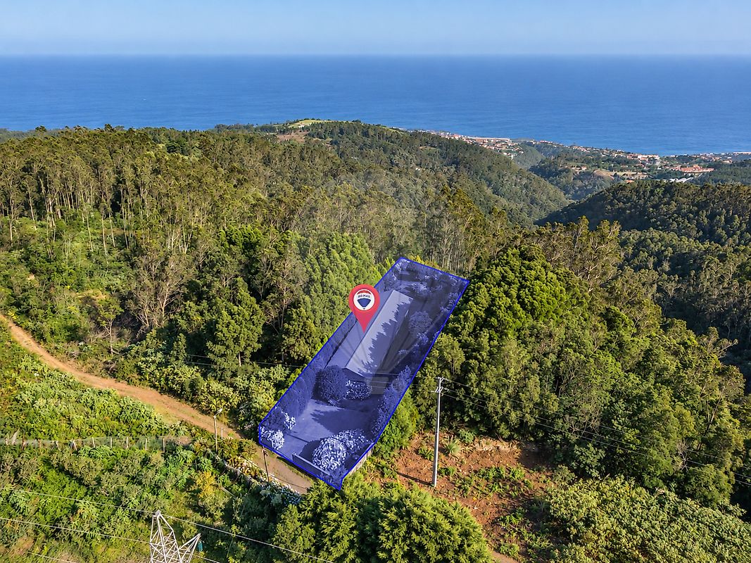 Moradia T3 à venda em Santo António da Serra, Santa Cruz — foto 27