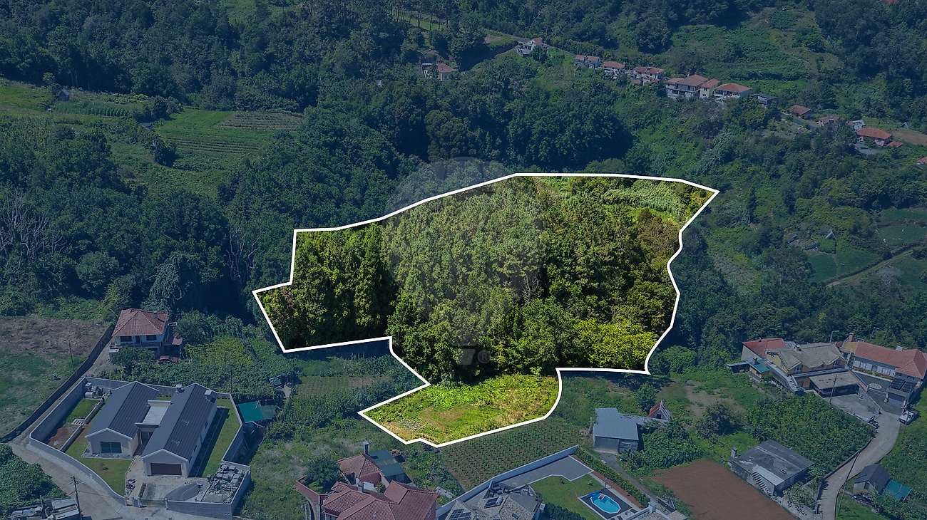 Terreno - Santana, Santana, Ilha da Madeira