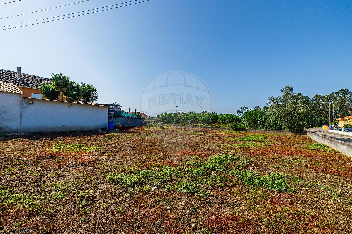 listing 123531002-1819 picture-0