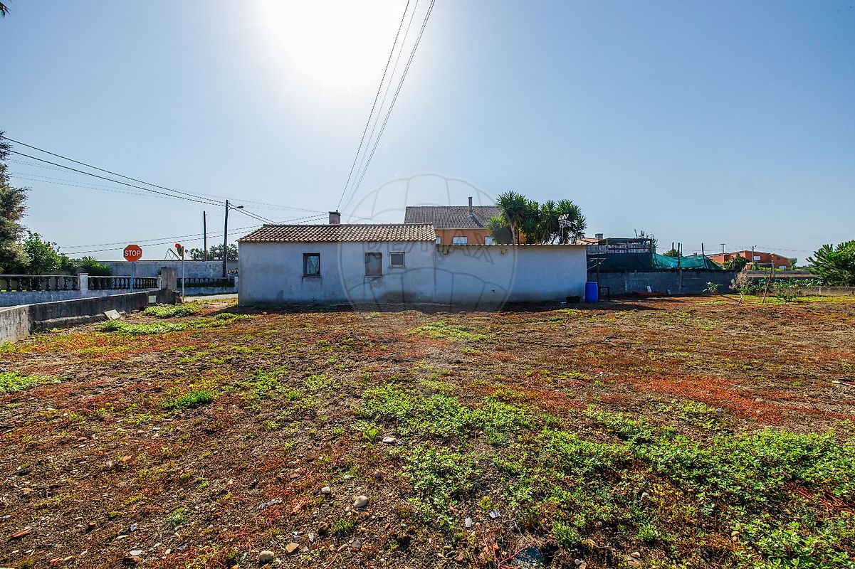 listing 123531002-1819 picture-0