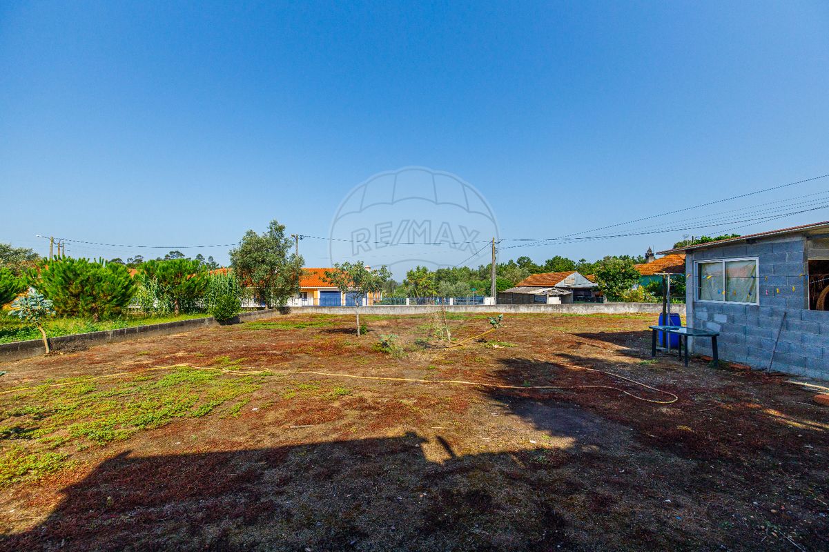 listing 123531002-1819 picture-0