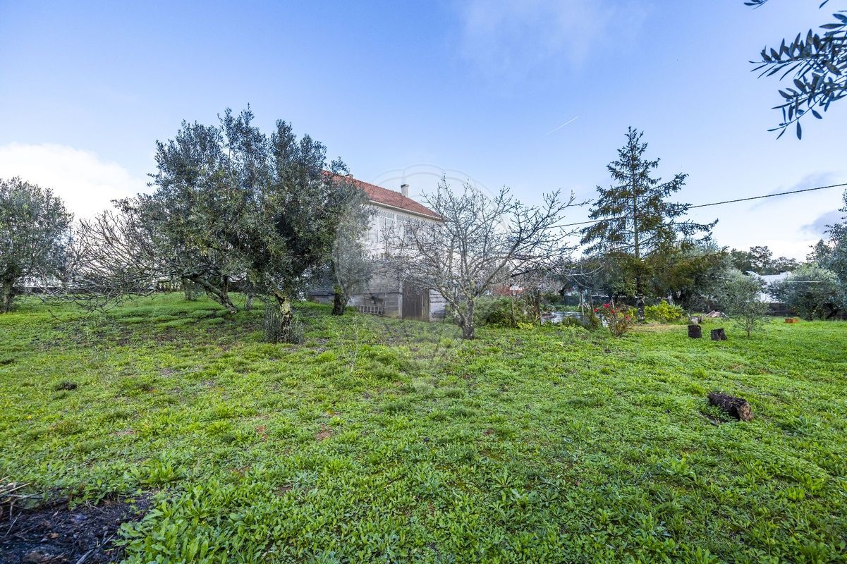 listing 123531983-1 picture-0
