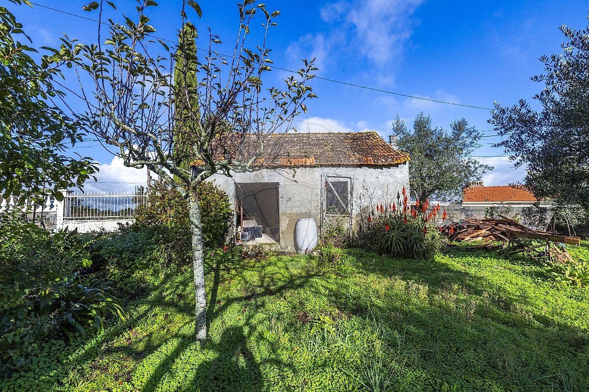 listing 123531983-1 picture-0