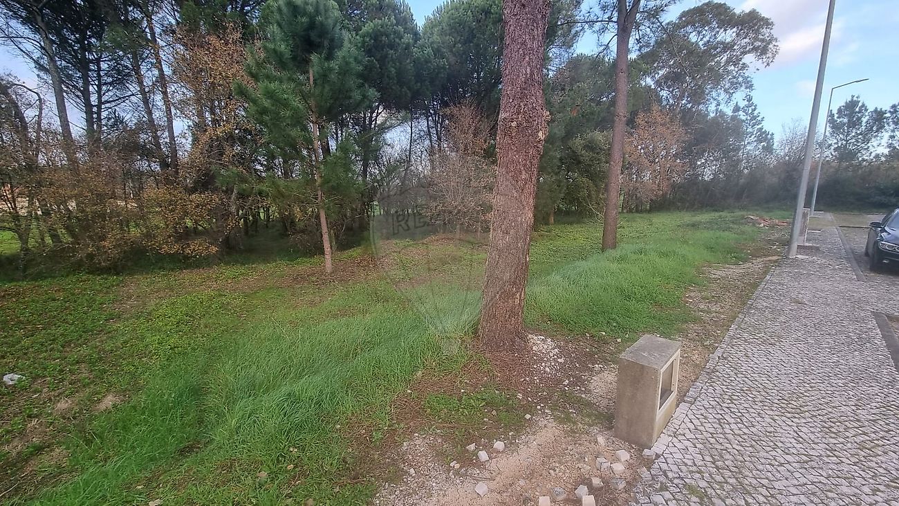 Terreno em Condeixa-a-Nova