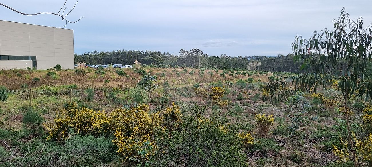 Land for sale in Alcobaça, Portugal — €105,000