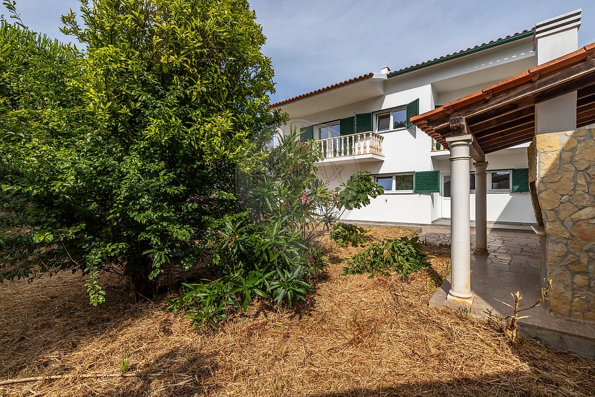 listing 123531827-51 picture-0