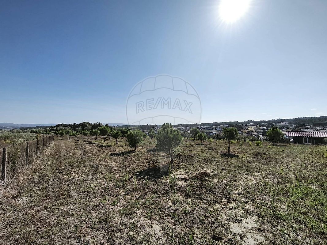 Terreno à venda em Leiria