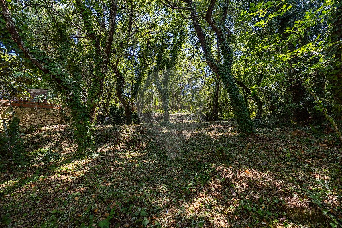 Moradia T3 à venda em Pedreiras, Porto de Mós — foto 28