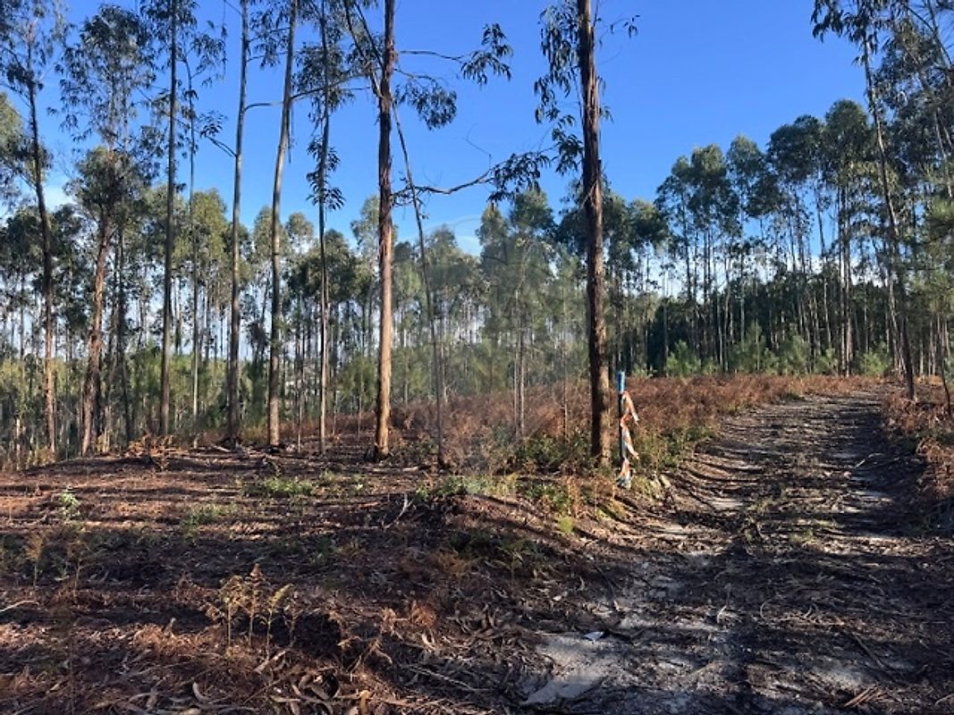 Terreno à venda em Leiria