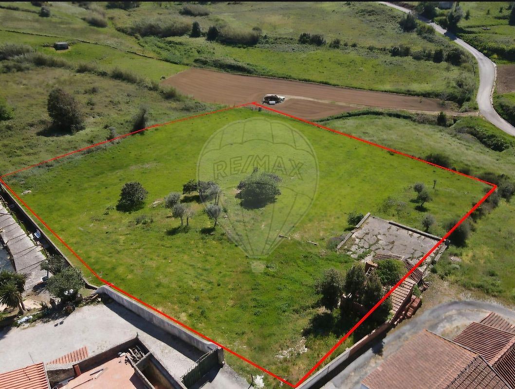 Terreno - Bárrio, Alcobaça, Leiria