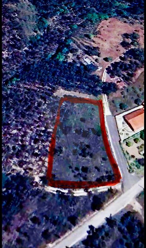 Terreno - Almagreira, Pombal, Leiria