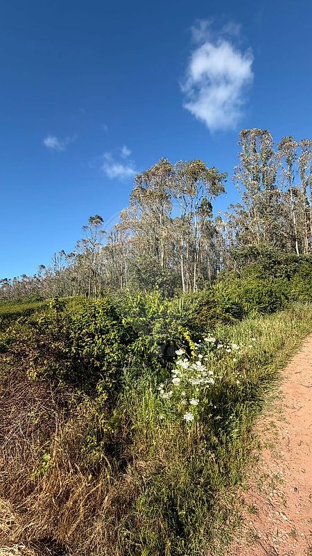 Terreno - Valado dos Frades, Nazaré, Leiria