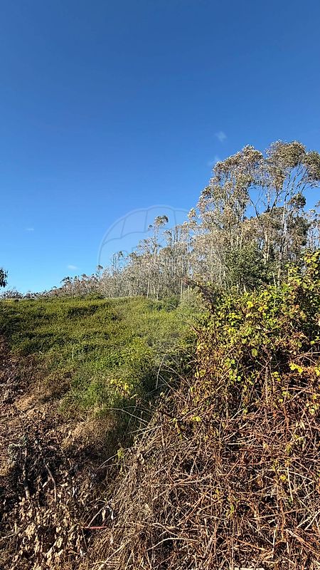 Terreno - Valado dos Frades, Nazaré, Leiria
