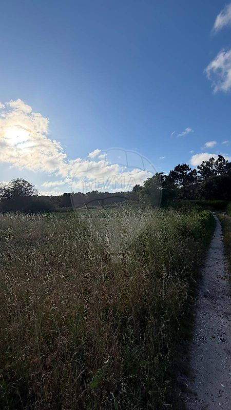 Terreno - Valado dos Frades, Nazaré, Leiria
