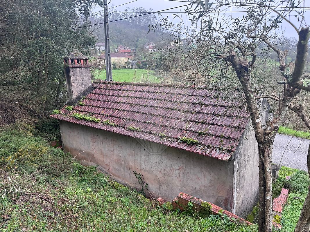 Moradia T1 à venda em Santiago e São Simão de Litém e Albergaria dos Doze, Pombal — foto 7