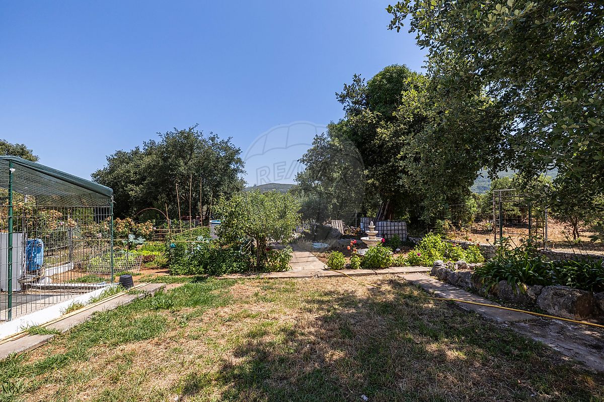 Moradia T3 à venda em Alvados e Alcaria, Porto de Mós — foto 31
